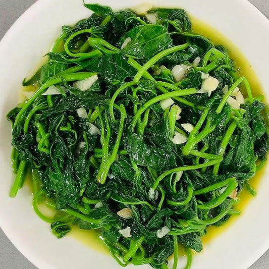 5月13日周三（G餐）精品菜：上汤红薯叶